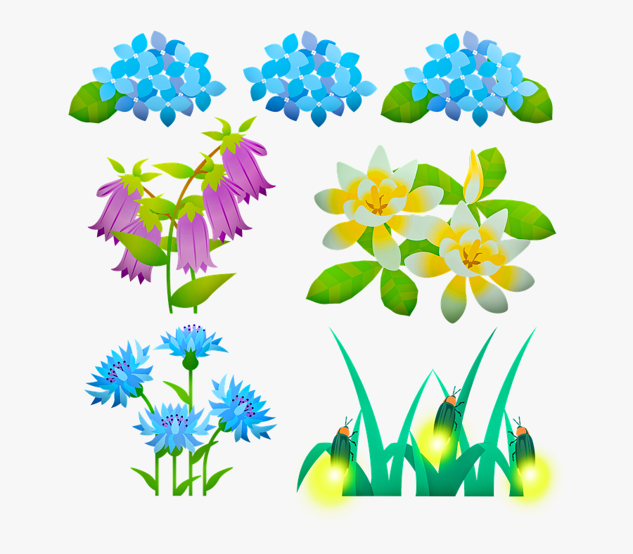 Flowers, Fireflies, Hydrangea, Summer, Flora, Outdoor, Transparent Clipart