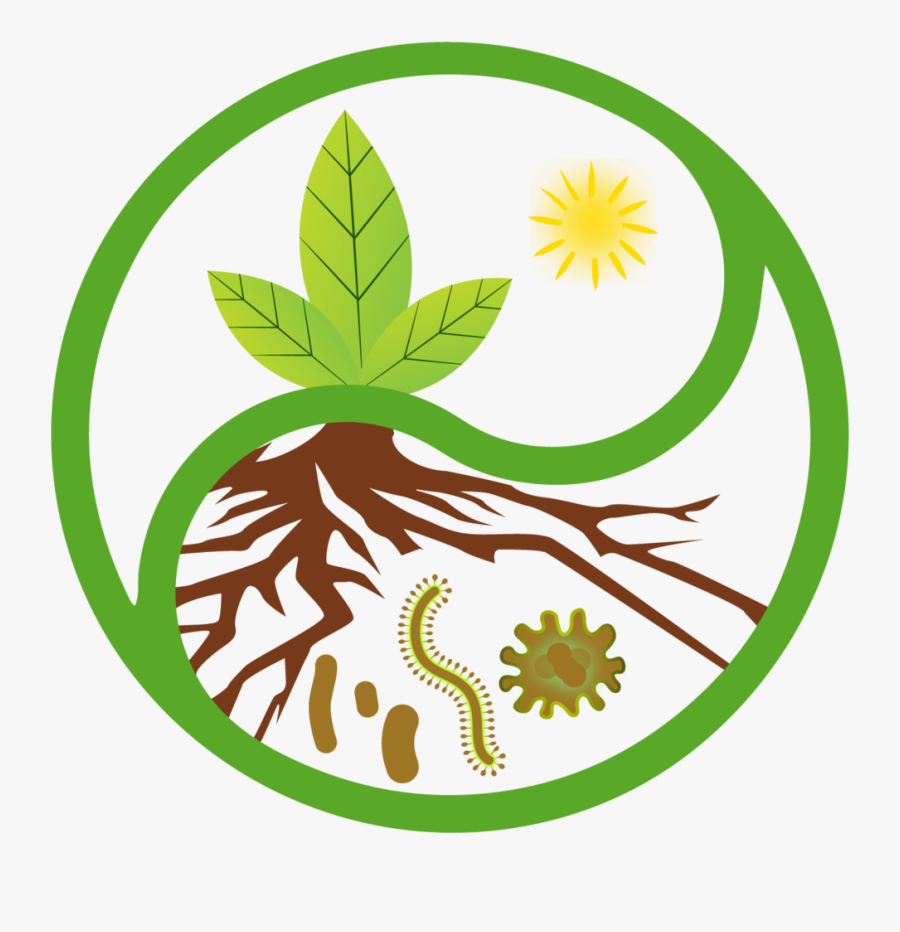 Crops Clipart Importance Soil Transparent - Soil, Transparent Clipart