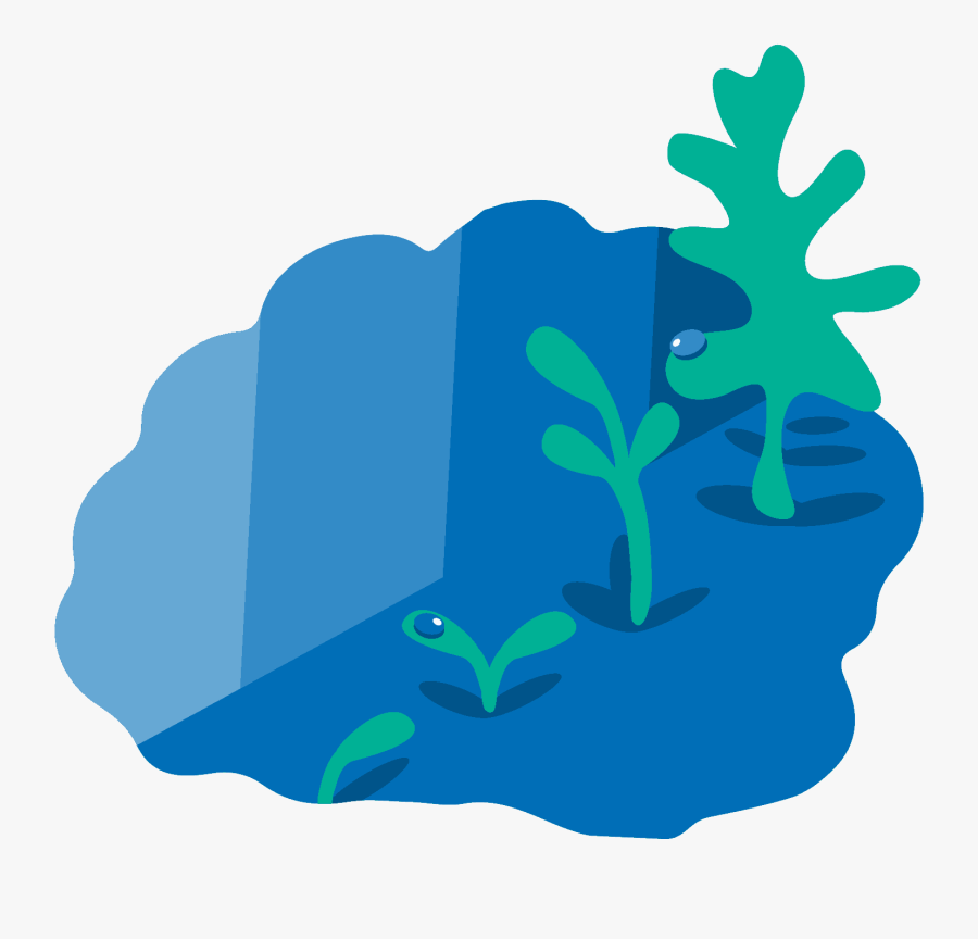 In The Learning Environment Filled With Important Values, Transparent Clipart