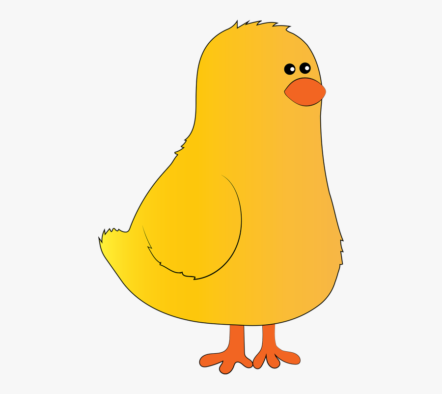 Chick Farm Hen - Разрезные Картинки Для Детей, Transparent Clipart