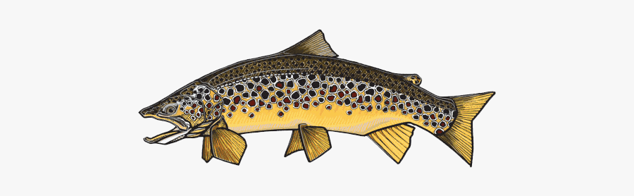 Clip Art Casey Underwood Fly Fishing - Brown Trout Design Cartoon, Transparent Clipart