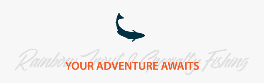 Rainbowtrout, Transparent Clipart