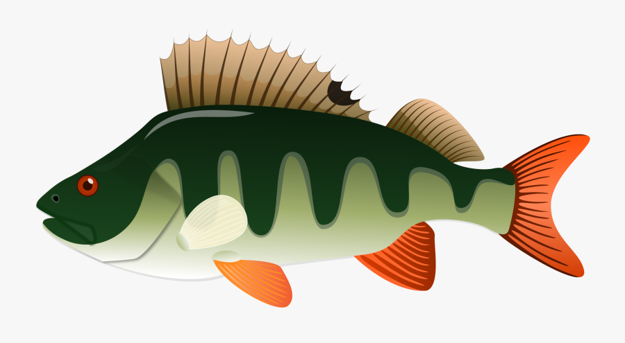Clip Art Yellow Perch Actinopterygii Computer - Northern Pike Cartoon Free, Transparent Clipart
