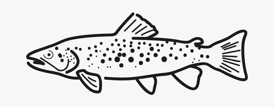 Producto Ficha Pez Trucha Frio Antartic - Trout, Transparent Clipart