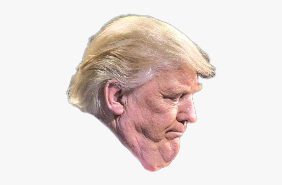 Donald Trump Trump Tower United States, Transparent Clipart