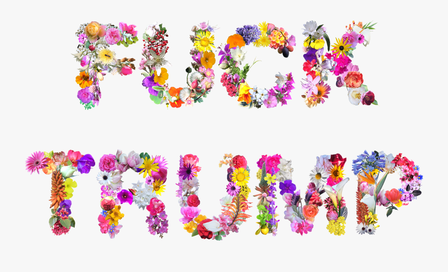 Fuck Trump Transparent Png, Transparent Clipart