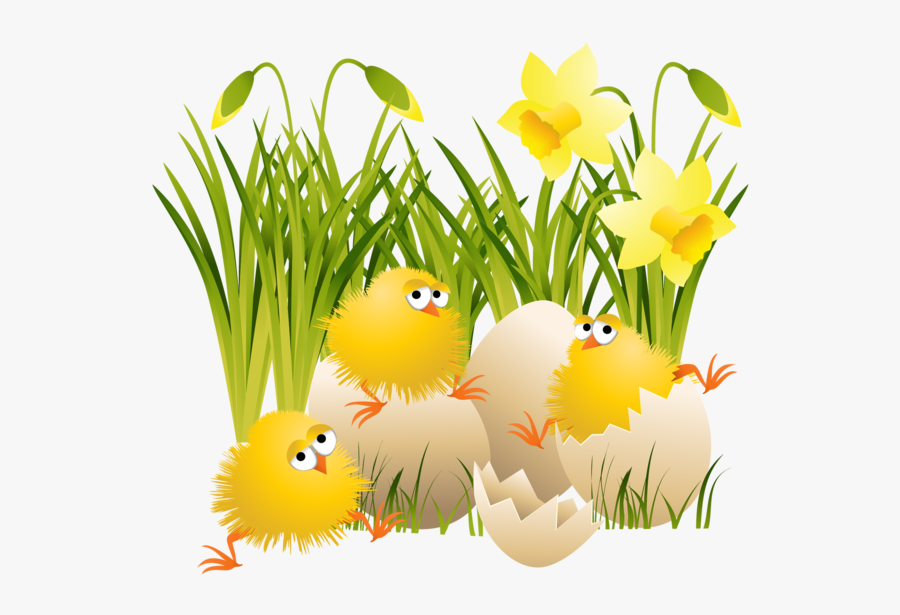 Large Easter Chicks Gallery - Easter Chicken Png, Transparent Clipart