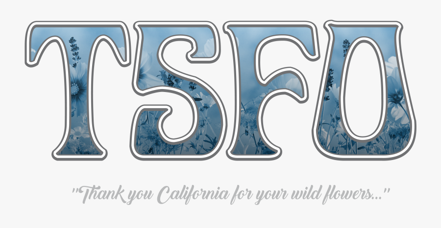 Logo - Illustration, Transparent Clipart