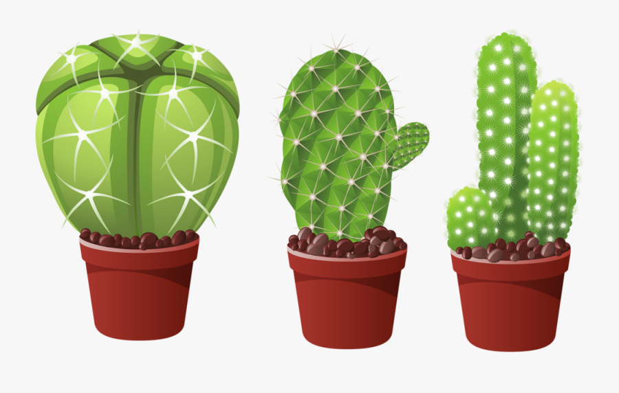 Cactus Plat, Transparent Clipart