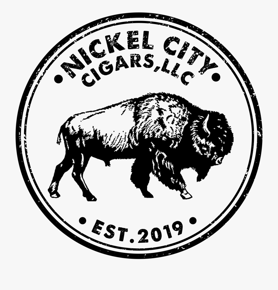 Aligarh Muslim University Logo Png, Transparent Clipart