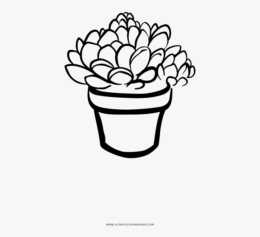 Succulent Coloring Page - Line Art, Transparent Clipart