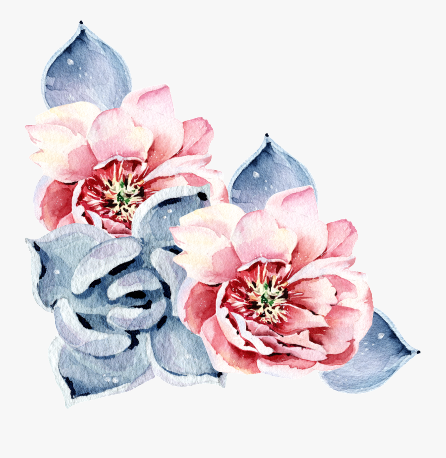 Red Succulent Flower Watercolor Hand Painted Transparent - Hand Painted Floral Watercolor Painting Png, Transparent Clipart