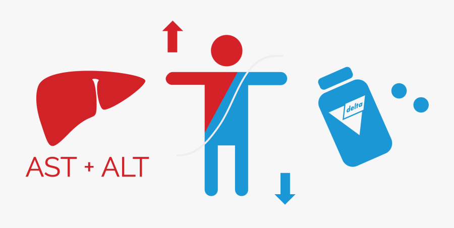 Essential Ad2 Improves Liver Function Test - Liver Function Test Clipart, Transparent Clipart