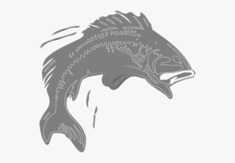 Jumping Bass Fish Silhouette, Transparent Clipart