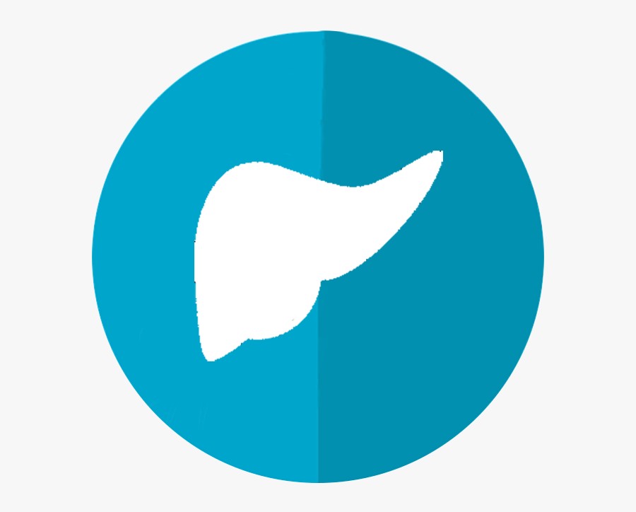 Alcoholic Liver Disease - Circle, Transparent Clipart