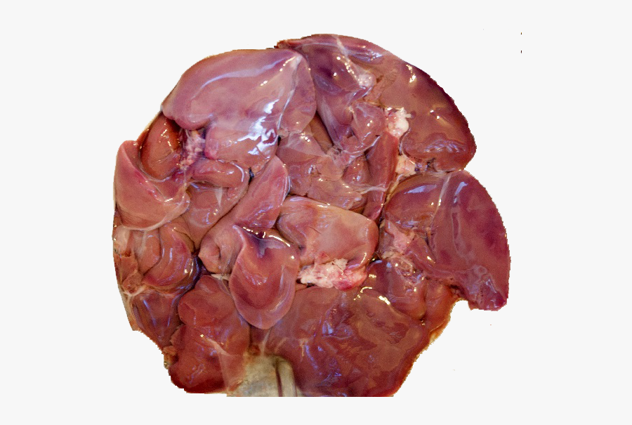 Clip Art Our Products Pot Kg - Pot Liver, Transparent Clipart