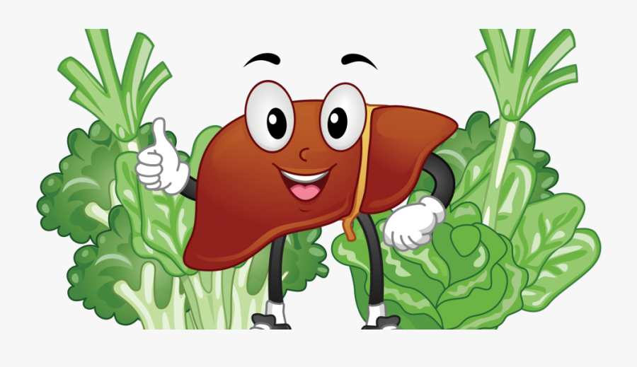 Healthy Liver And Foods Cartoon, Transparent Clipart
