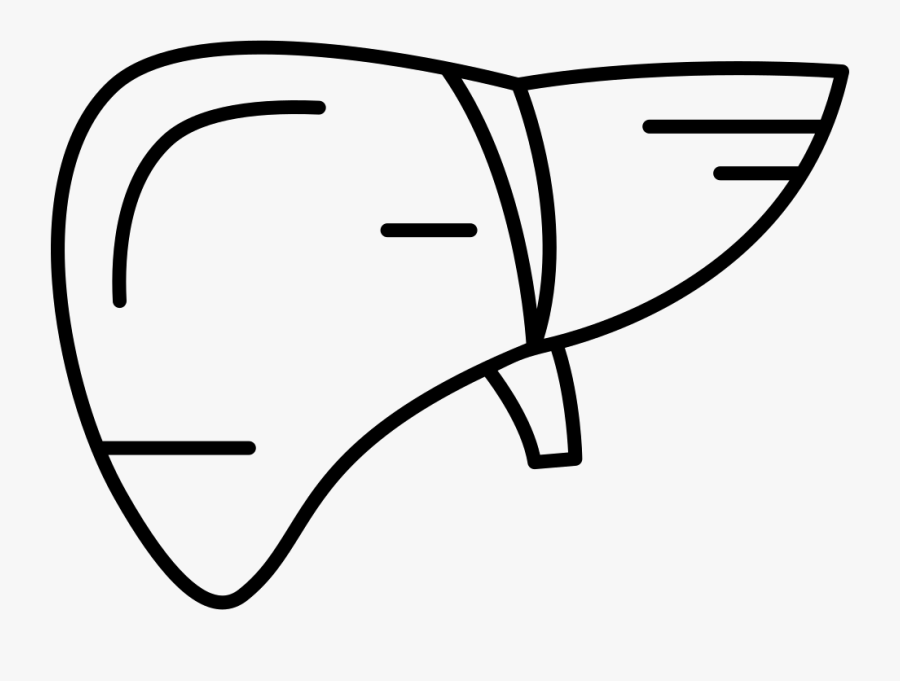 Human Liver - Liver Black And White Clipart, Transparent Clipart