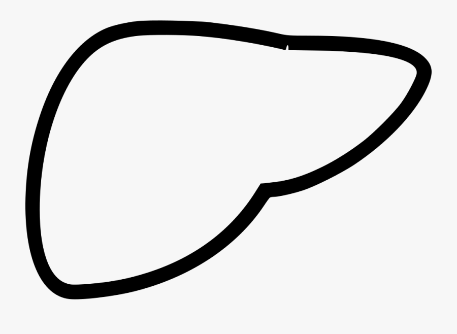 Liver, Transparent Clipart