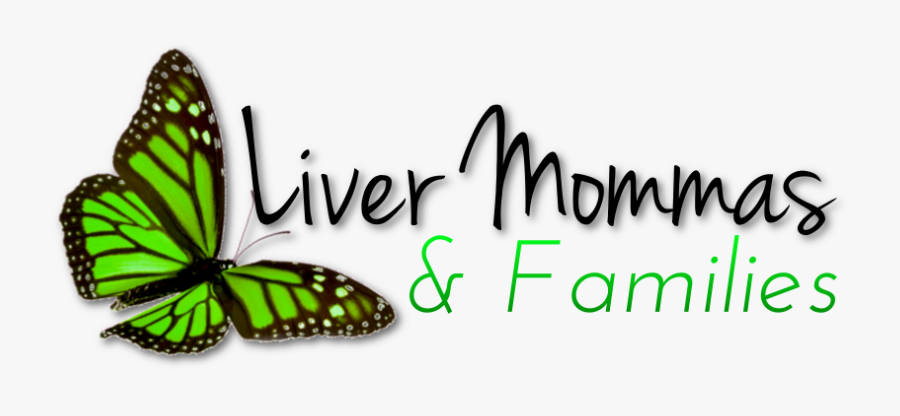 Monarch Butterfly, Transparent Clipart