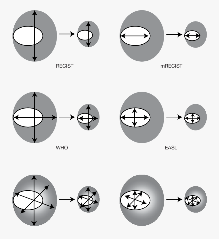 Response Criteria For Liver Cancer Treatments - Circle, Transparent Clipart