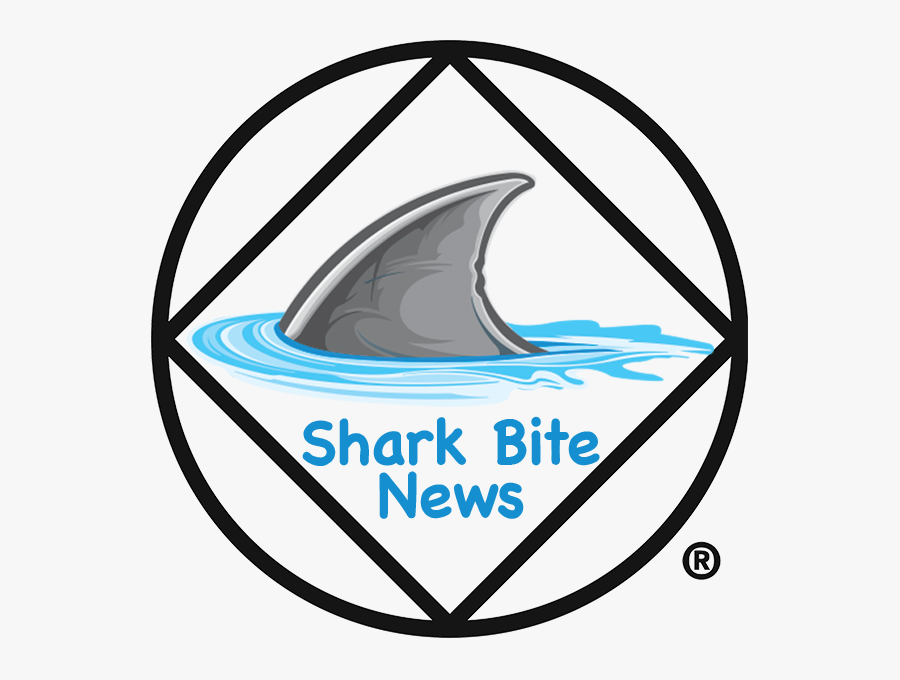 Transparent Camera Icon Png, Transparent Clipart