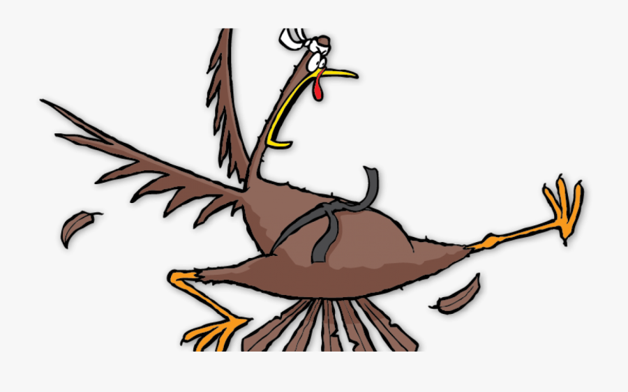 Taekwondo Thanksgiving Turkey, Transparent Clipart