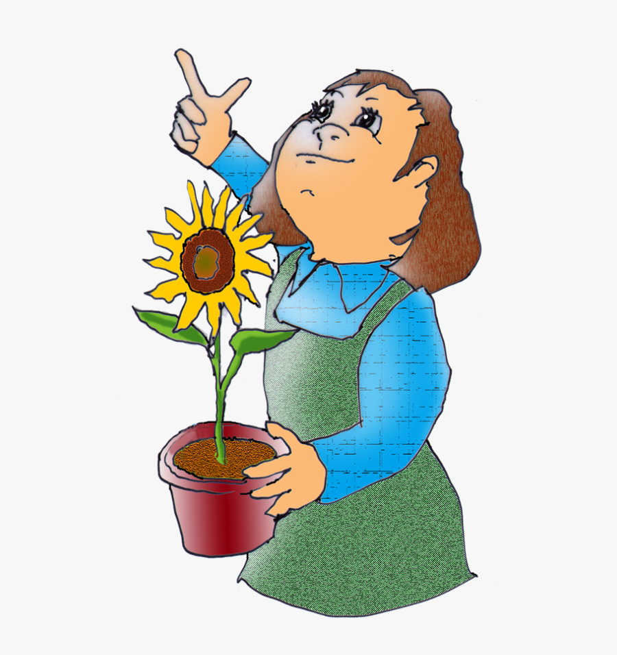 Illustration, Transparent Clipart