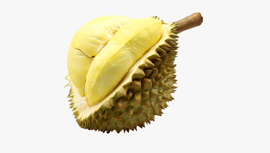 Durian Ripe Mango Clipart - Fruit Durian, Transparent Clipart