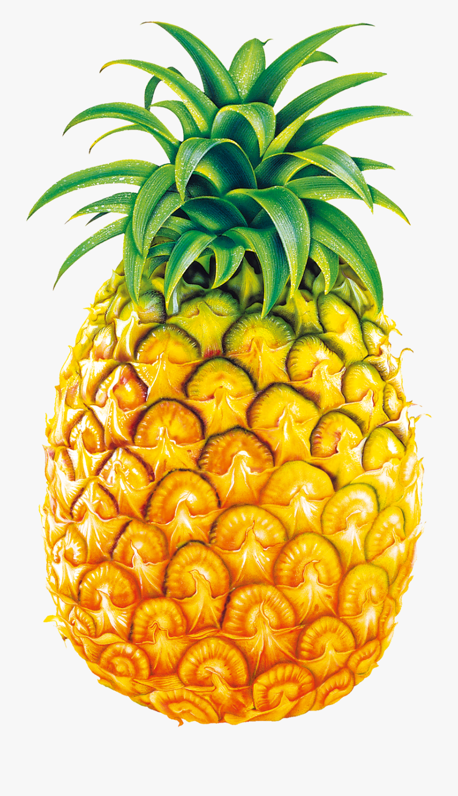 Pineapple Juice Fruit Bromelain - Legend Of Pineapple Summary, Transparent Clipart