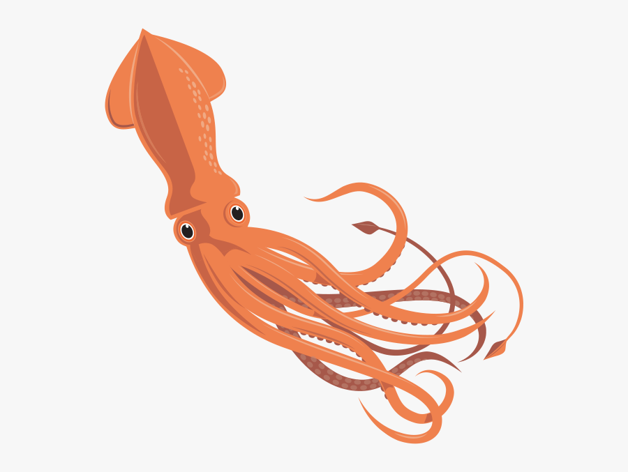 Squid Vector - Squid Clipart Png, Transparent Clipart