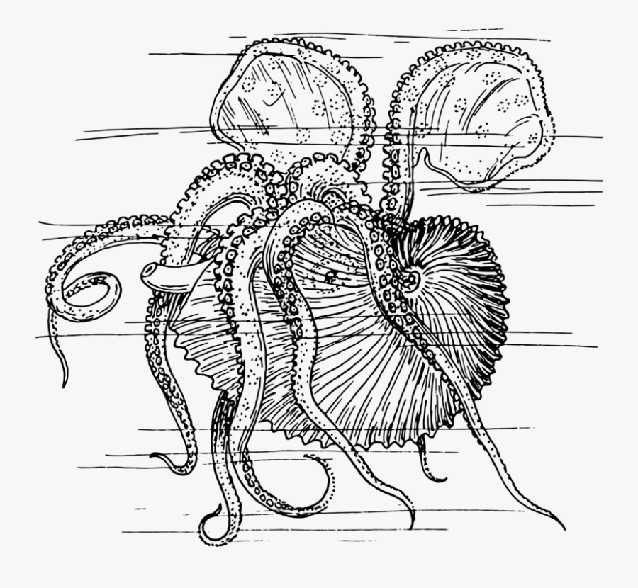 Art,artwork,monochrome - Sea Creature Drawings Kraken, Transparent Clipart
