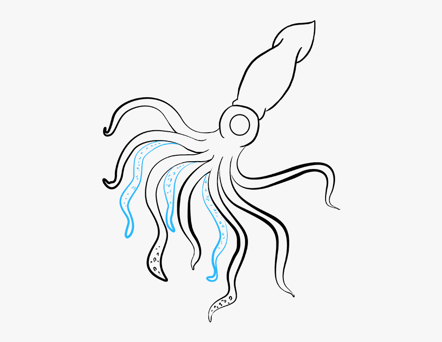 How To Draw Squid, Transparent Clipart