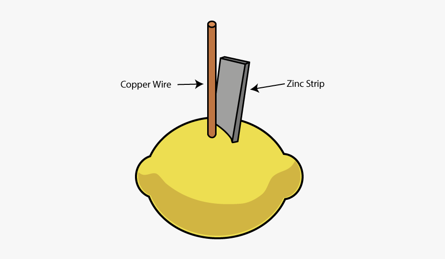 Paper Research Science Grade 6th Example Fair - Lemon Copper And Zinc Experiment, Transparent Clipart