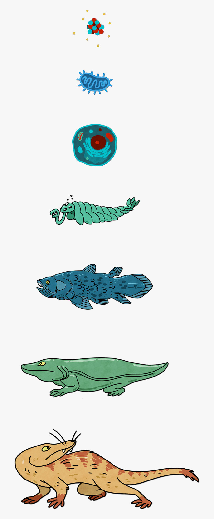 Cartoon, Transparent Clipart