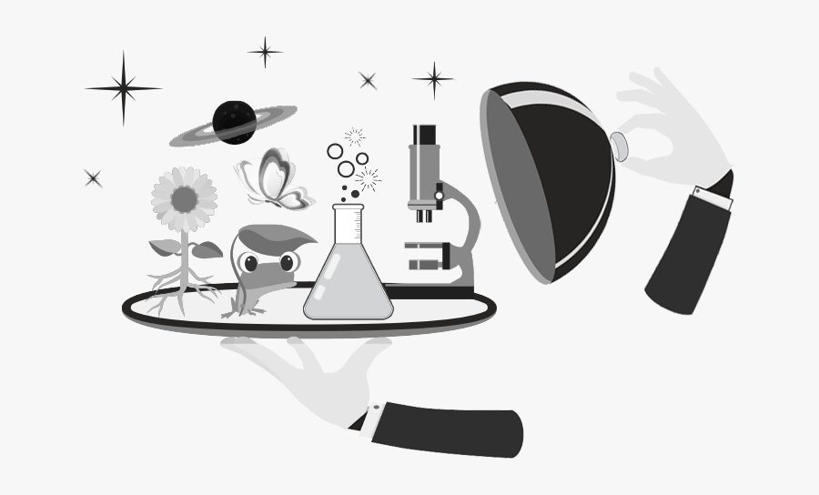 Illustration, Transparent Clipart