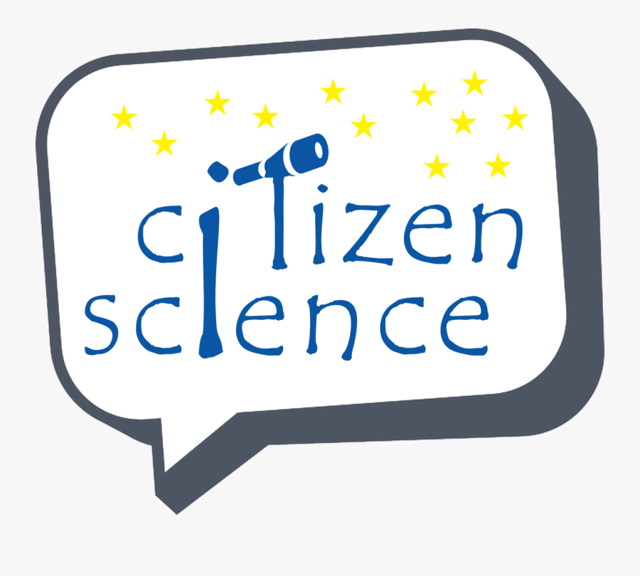 Take The Survey, Transparent Clipart