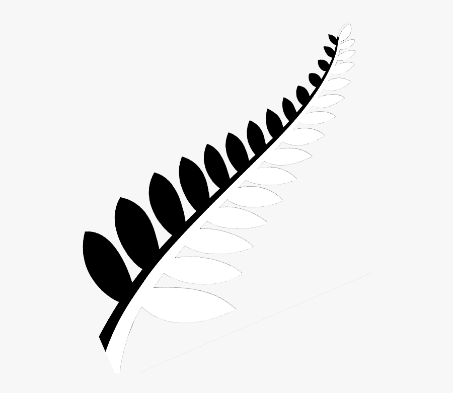 Stock Practicepte Newzealand Universities Study In - New Zealand Fern Drawing Transparent, Transparent Clipart
