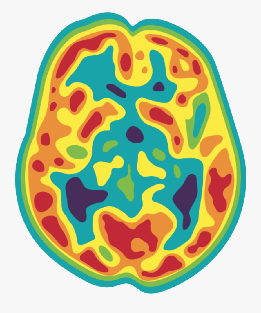 Brochure Reveal Amyloid Pet Research Participants, Transparent Clipart