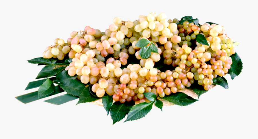 Grape, Transparent Clipart