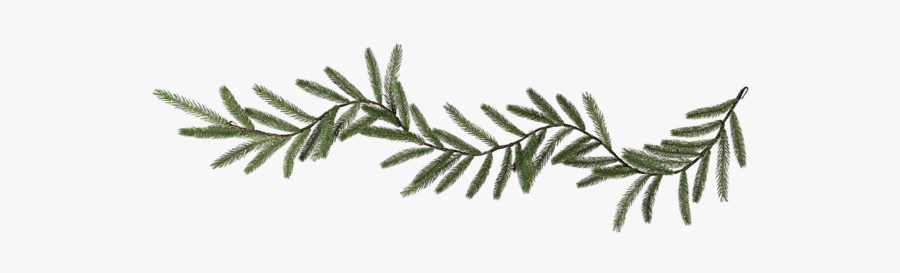 Garland Boda - Pond Pine, Transparent Clipart