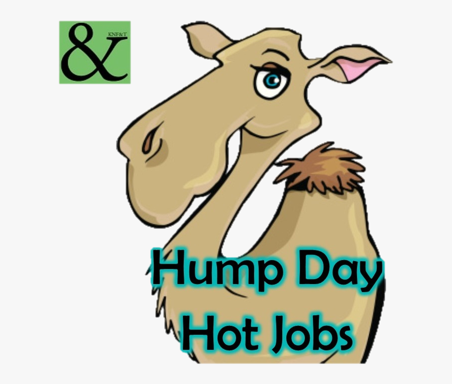 Hump Day Hot Jobs , Free Transparent Clipart - ClipartKey.