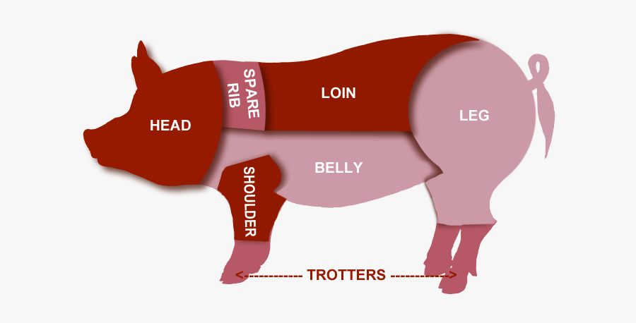 Clip Art On Farm Butchering Diy - Pork Meat Cut, Transparent Clipart