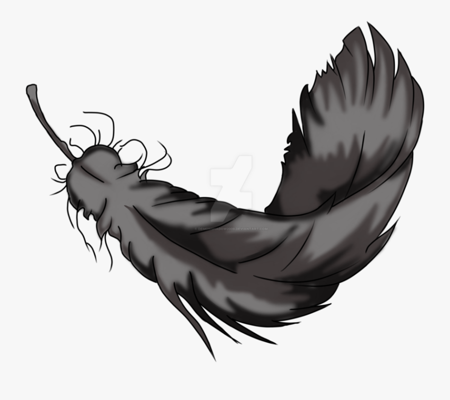Exploring Item Raven Feather - Raven Feather Png Illustration, Transparent Clipart