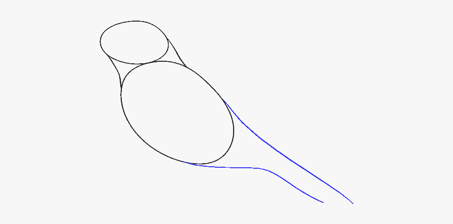 How To Draw A Raven Step - Line Art, Transparent Clipart