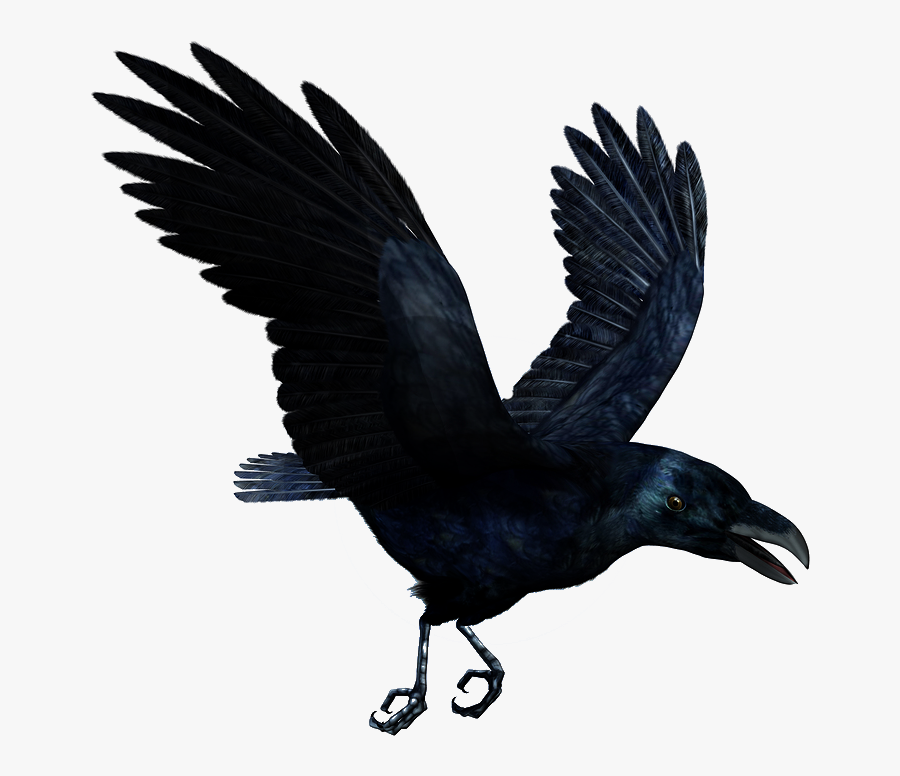 Tattoo Flying T Shirt Hoodie Lower Back Raven Clipart - Mc Ride All Tattoos, Transparent Clipart