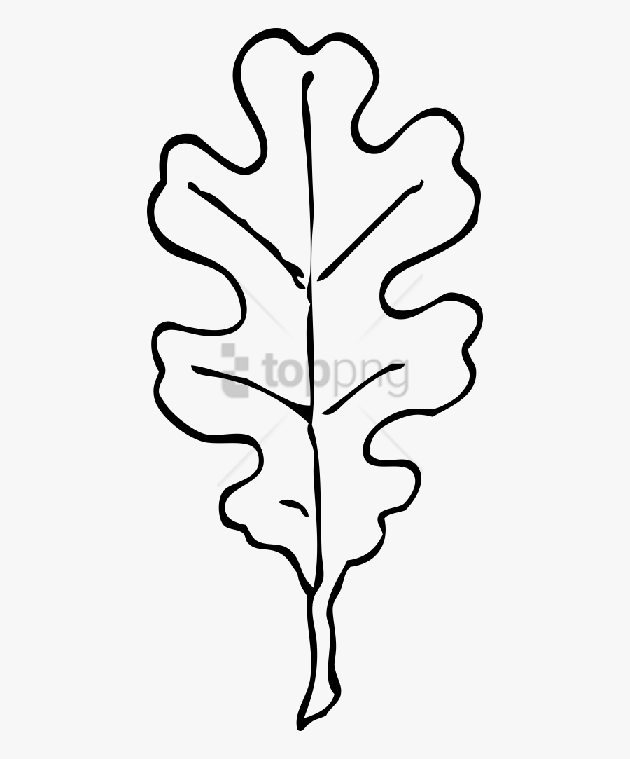 Free Png Download Oak Leafblack And White Png Images - Black And White Oak Leaf, Transparent Clipart