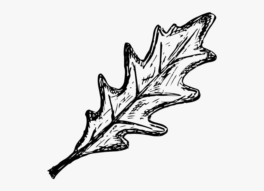 "
 Class="lazyload Lazyload Mirage Cloudzoom Featured - Sketch, Transparent Clipart