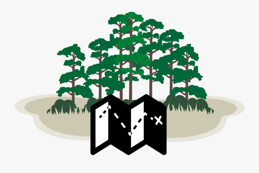 Clip Art, Transparent Clipart