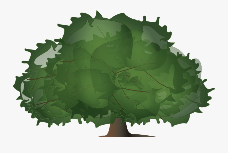 Tree, Wood, Paper, Leaves, Plant, Bush, Foliage - Illustration, Transparent Clipart
